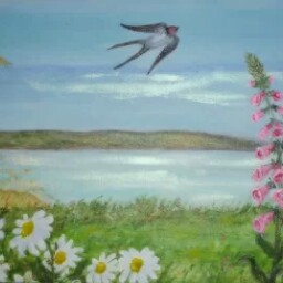 Kathryn Brabbins