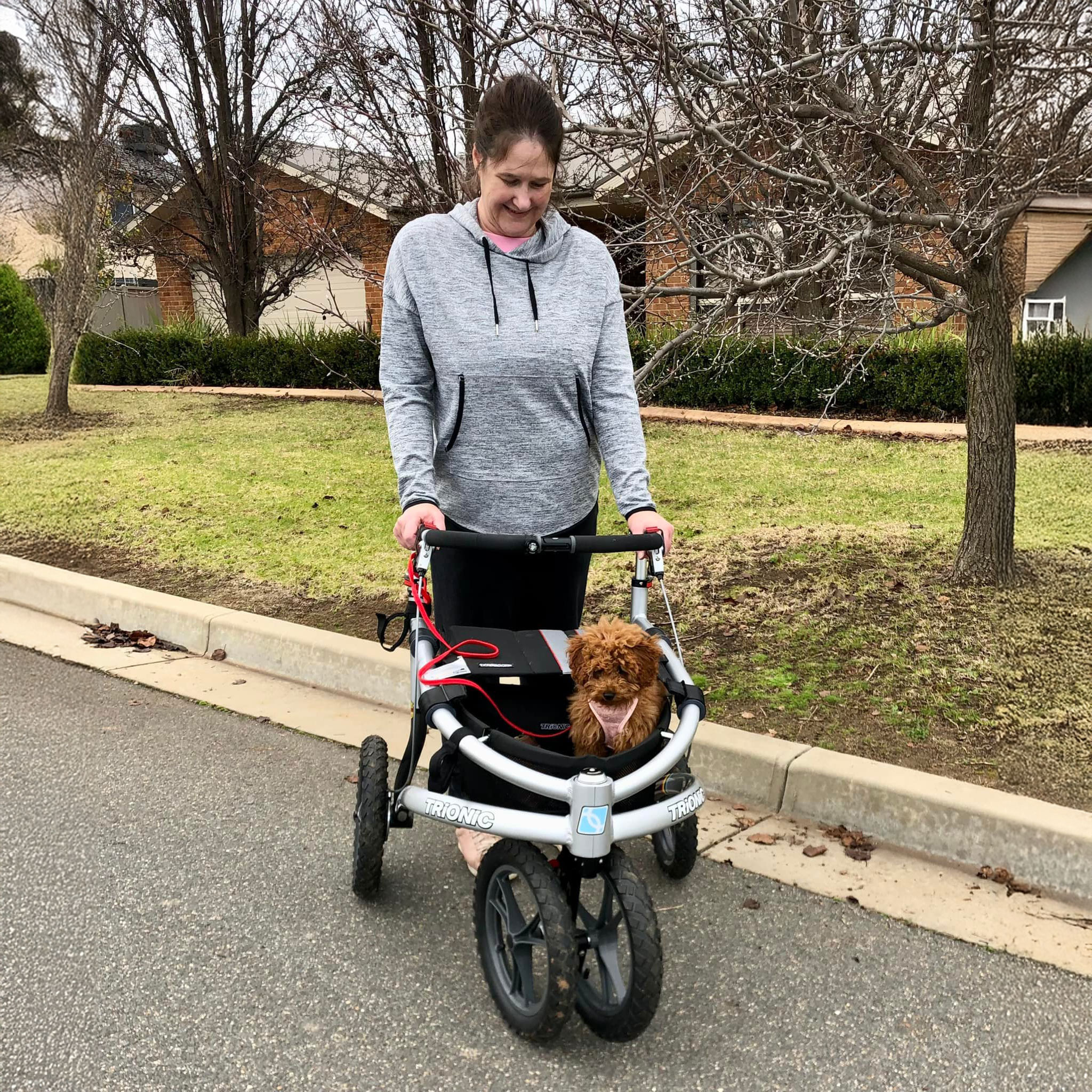 Die Alternative zum Rollator